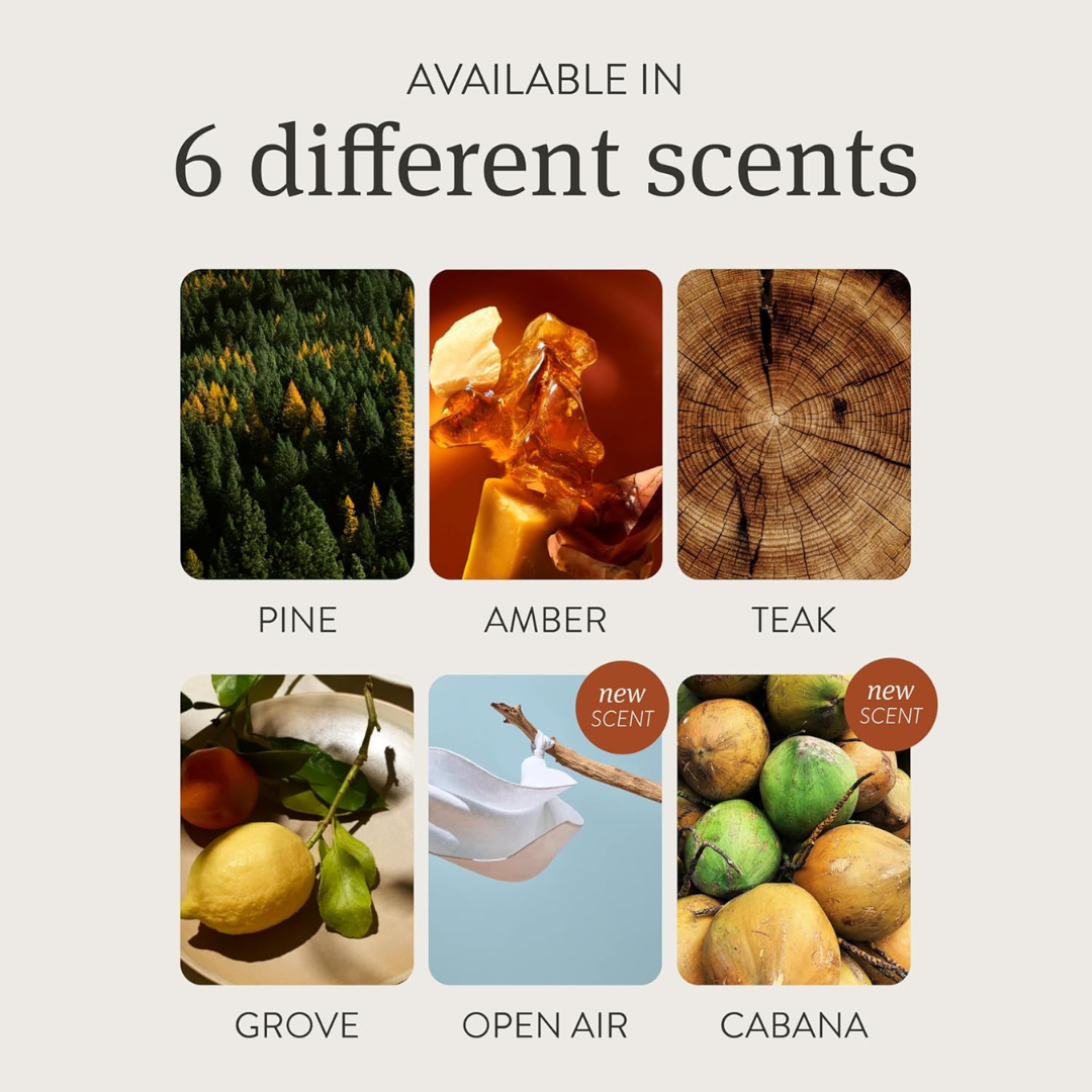 Aromoto – Premium Wood Car Fresheners